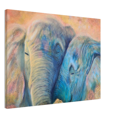 4194188a-a2a5-4428-b15e-c79a38042edd