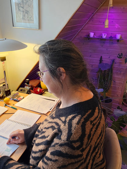 Hesteassisteret terapi bog soft cover